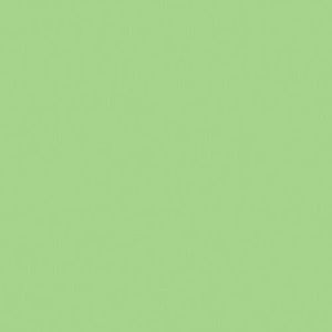 Meet your Posher, Tessa